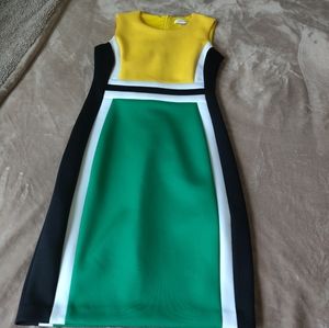 Calvin Klein Color Block Dress